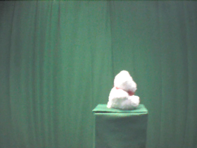270 Degrees _ Picture 9 _ Small White Teddy Bear.png